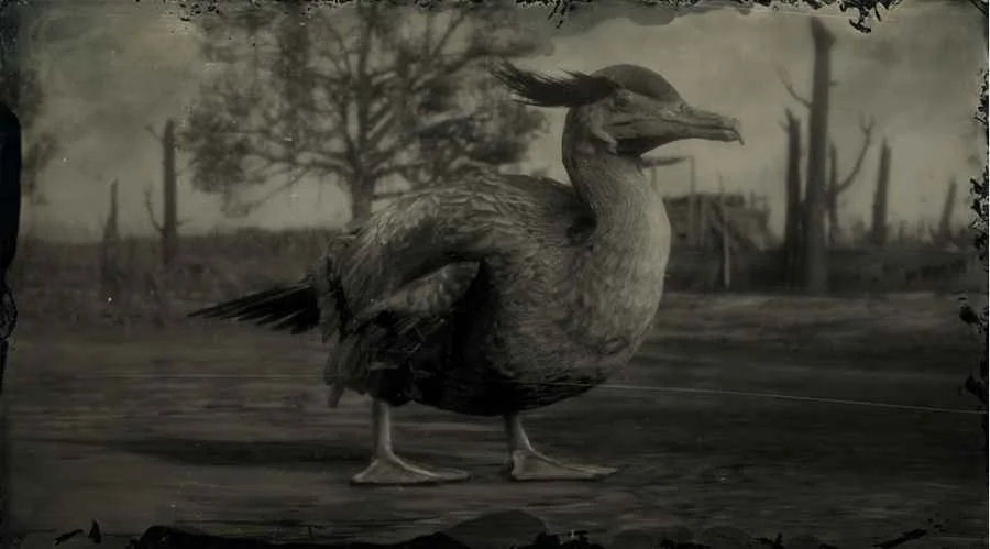 Neotropic Cormorant