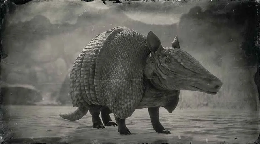 Nine-Banded Armadillo