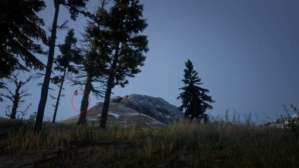 Grizzlies West slope