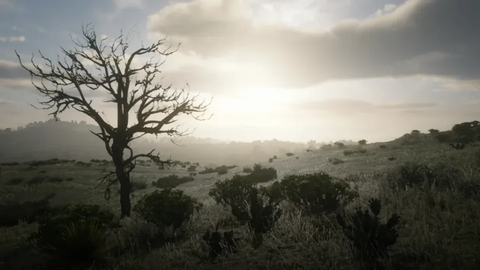 Heartlands north clearing