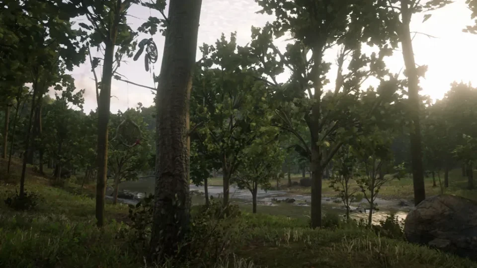 Kamassa River tree