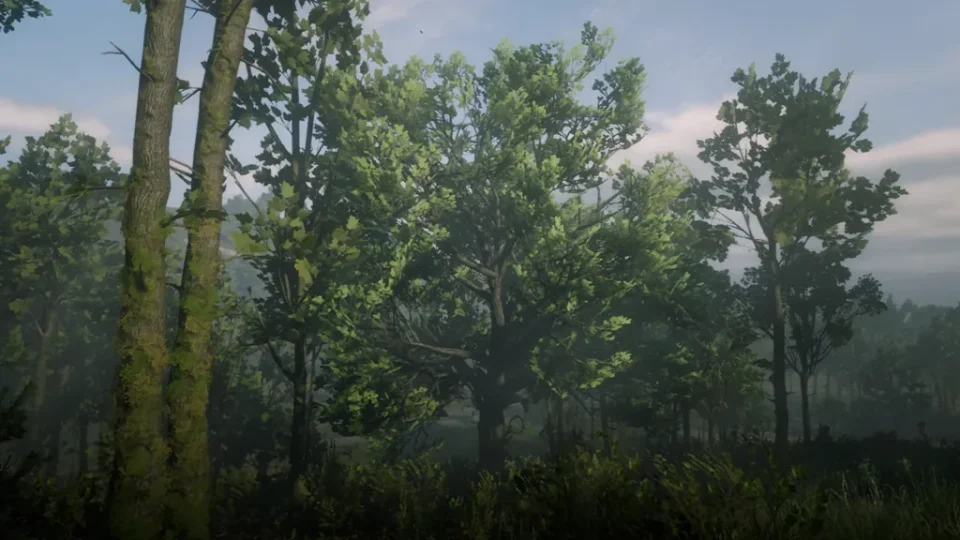 Northeast Heartlands grove