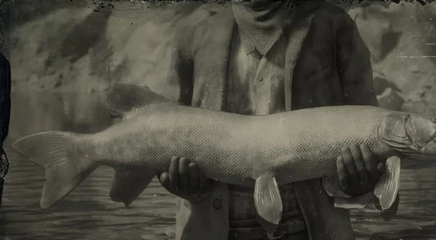 Muskie