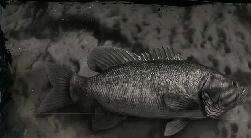 Smallmouth Bass