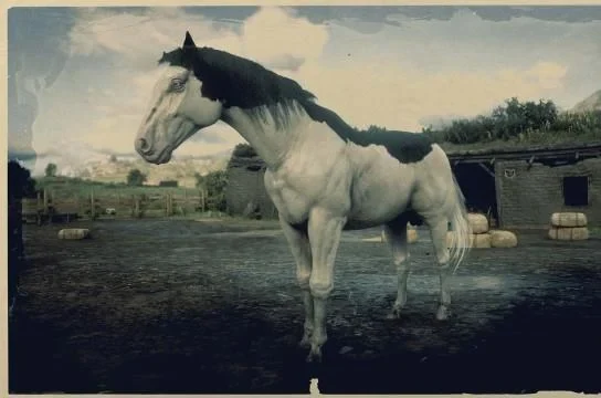 American Paint - Splashed White