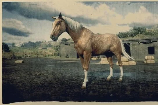 American Standardbred - Palomino Dapple