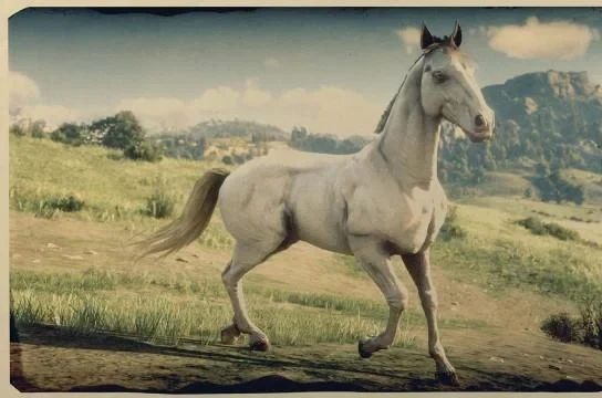 Andalusian - Perlino