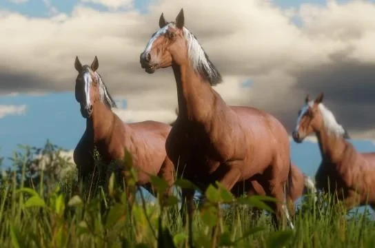 Hungarian Halfbred - Flaxen Chestnut