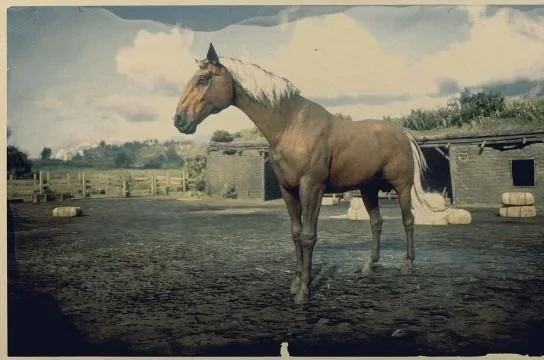 Kentucky Saddler - Silver Bay