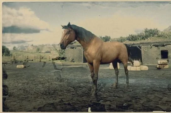 Morgan - Bay