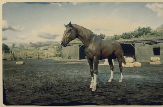 Morgan - Flaxen Chestnut