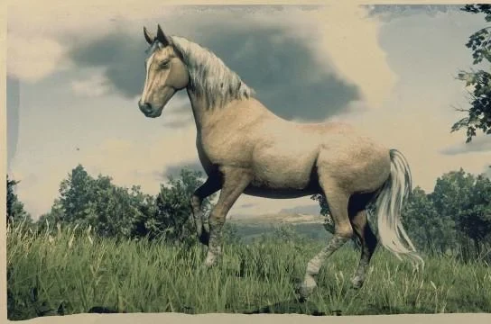 Morgan - Palomino