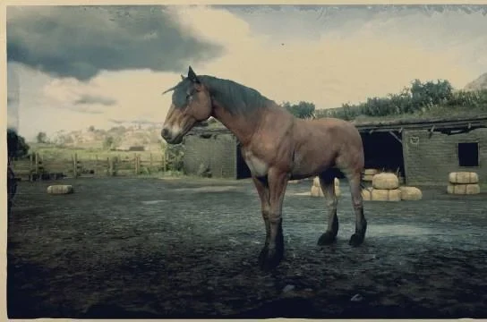 Mustang - Wild Bay