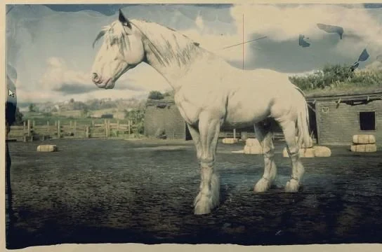 Shire - Light Grey