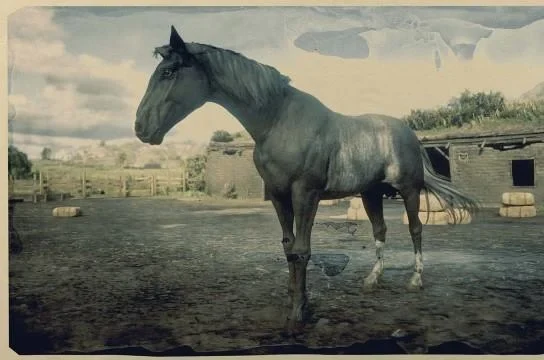 Tennessee Walker - Black Rabicano