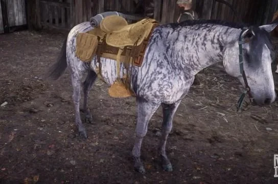 Thoroughbred - Brindle