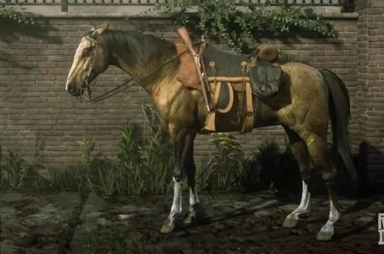 Turkoman - Gold
