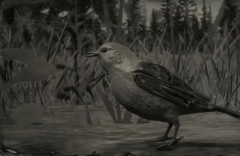 Songbird