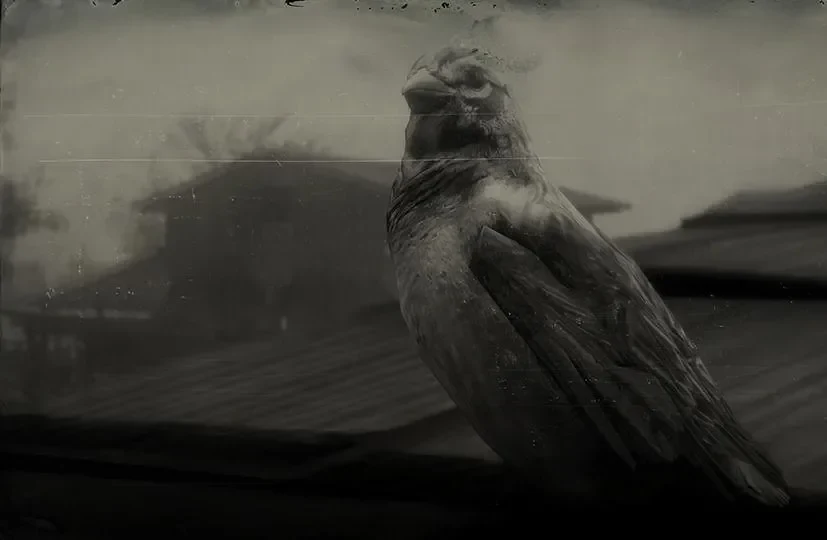 Sparrow