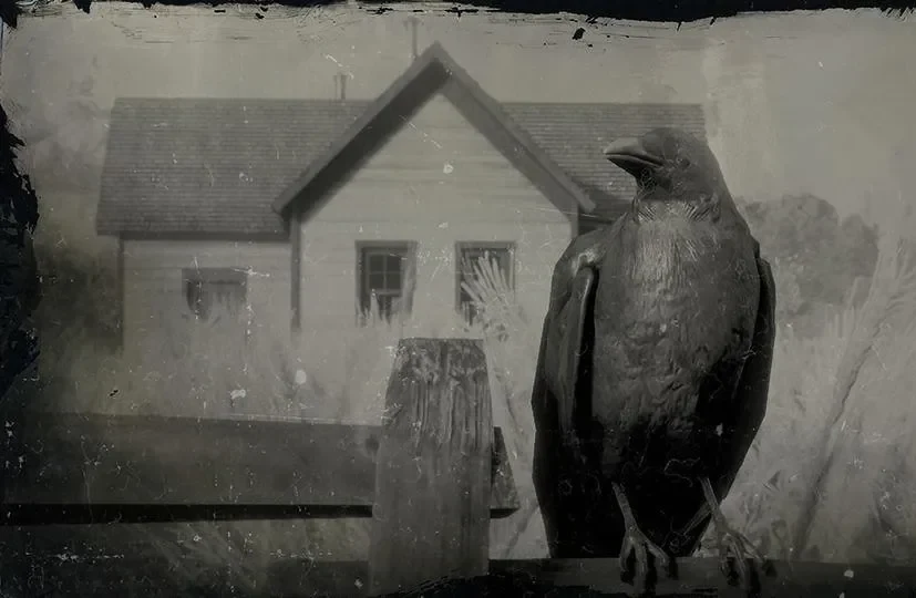 Crow