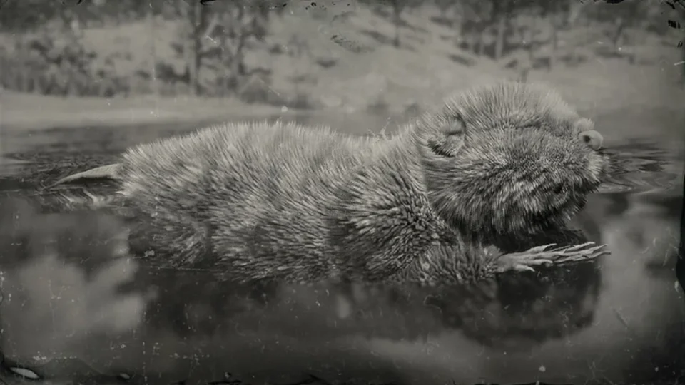 Legendary Beaver