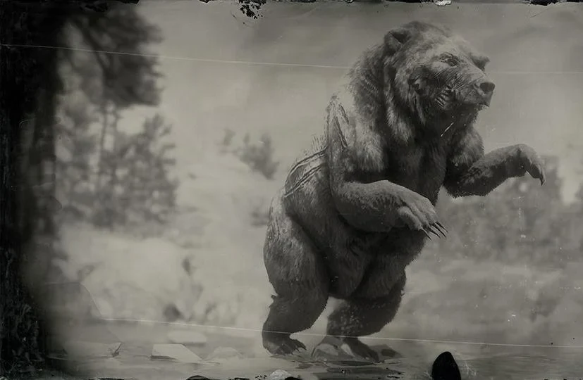 Legendary Bharati Grizzly Bear