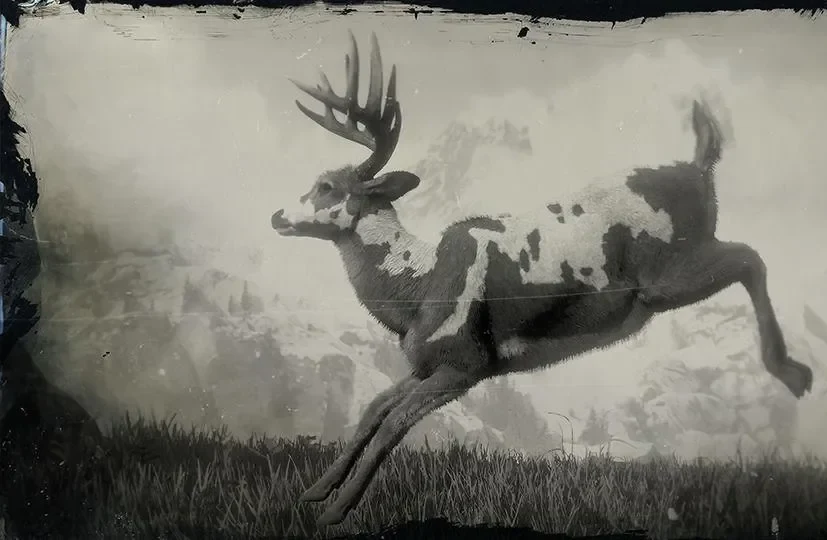 Legendary Buck