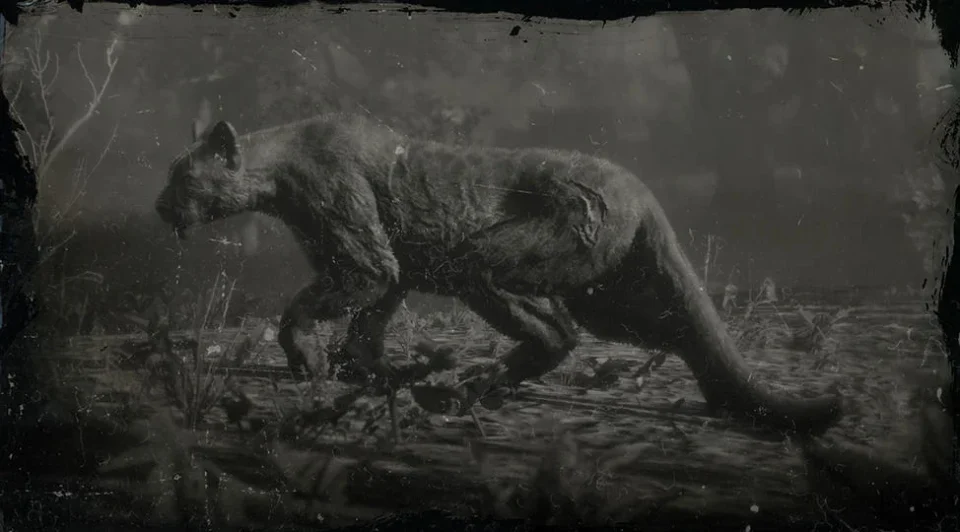 Legendary Giaguaro Panther