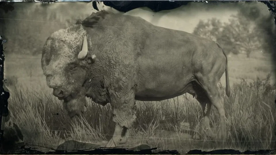 Legendary Tatanka Bison