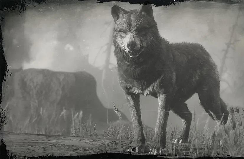 Legendary Wolf
