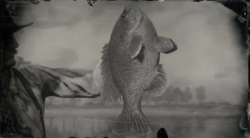 Legendary Bluegill