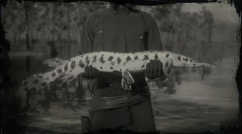 Legendary Longnose Gar