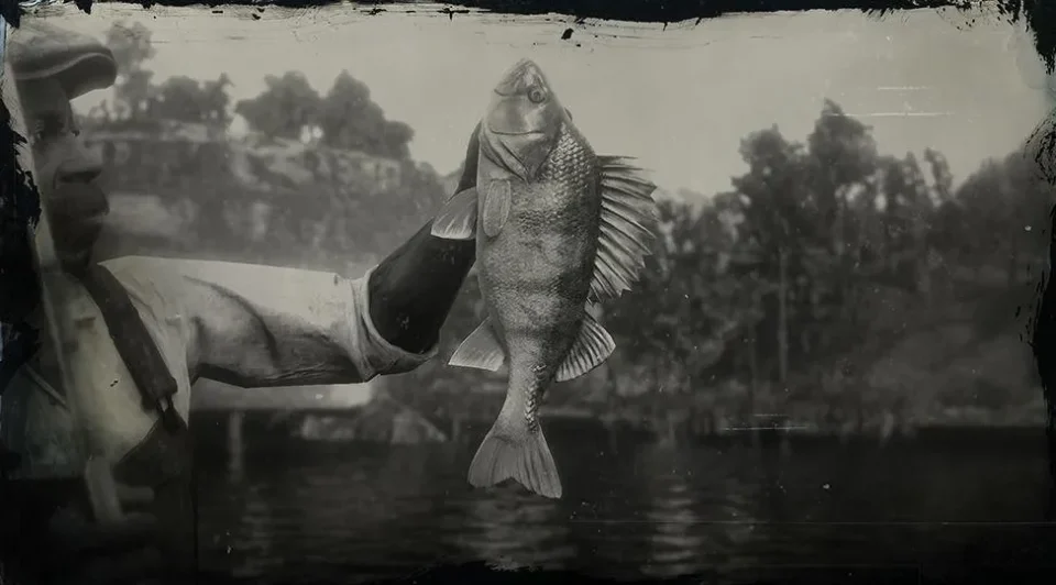 Legendary Perch