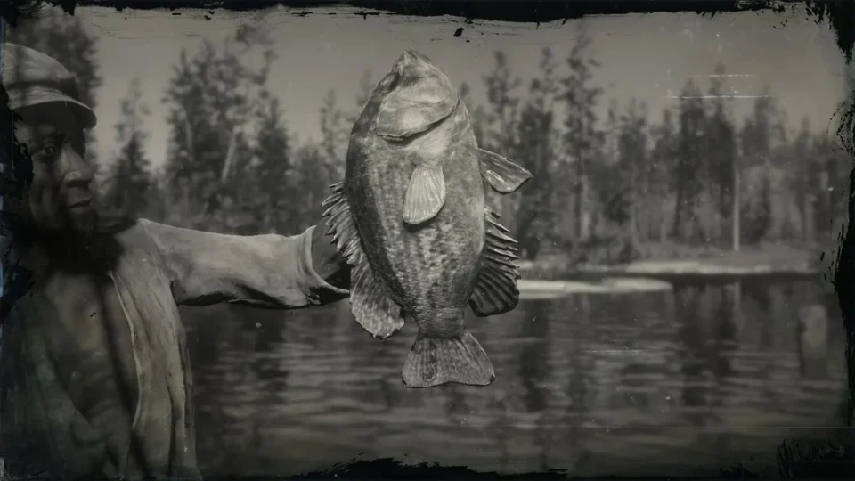 Legendary Rock Bass