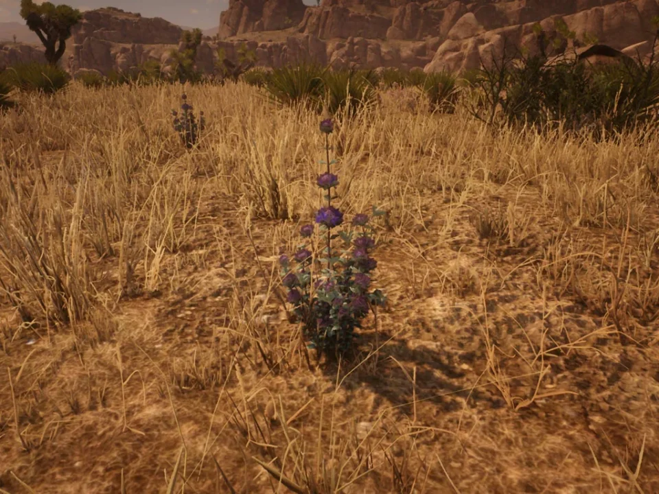 Desert Sage