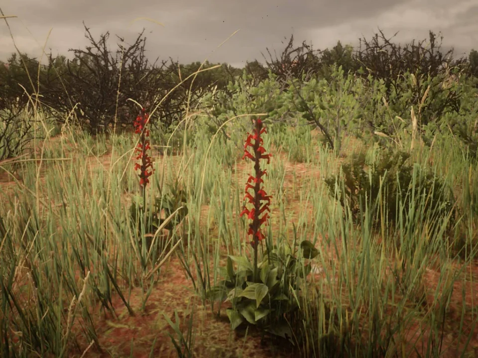 Red Sage