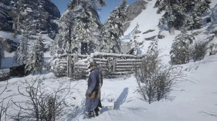Snowfield Shack