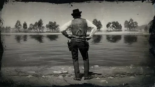 The New South
