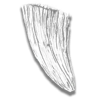 Cougar Fang Trinket