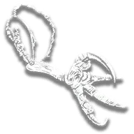 Hawk Talon Trinket