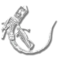 Iguana Scale Trinket