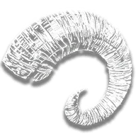 Ram Horn Trinket