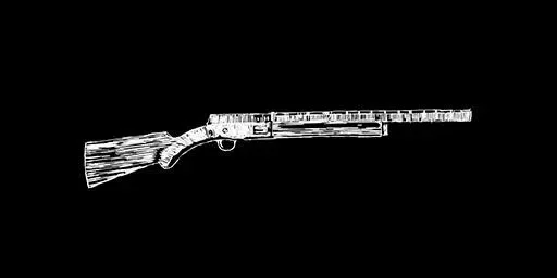 Semi-Auto Shotgun