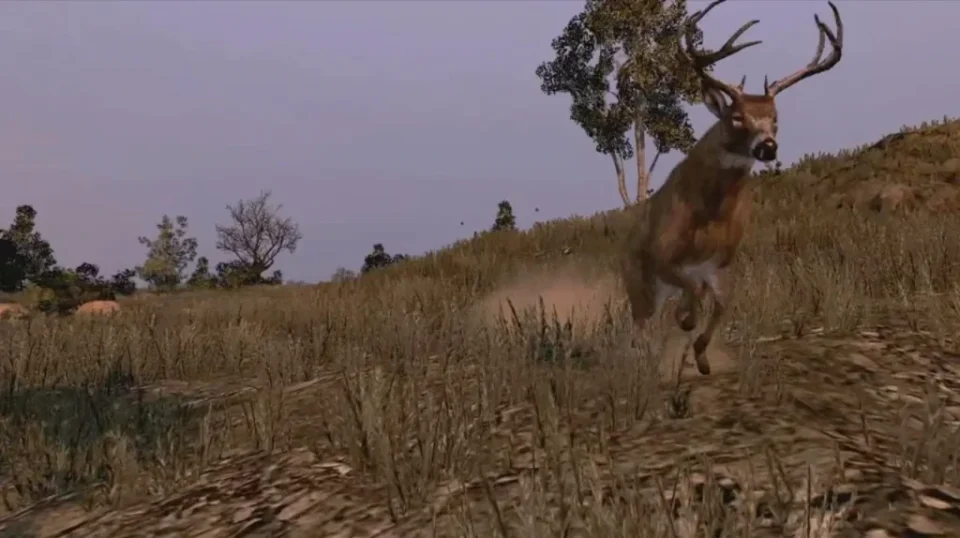 Buck