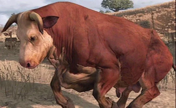 Bull