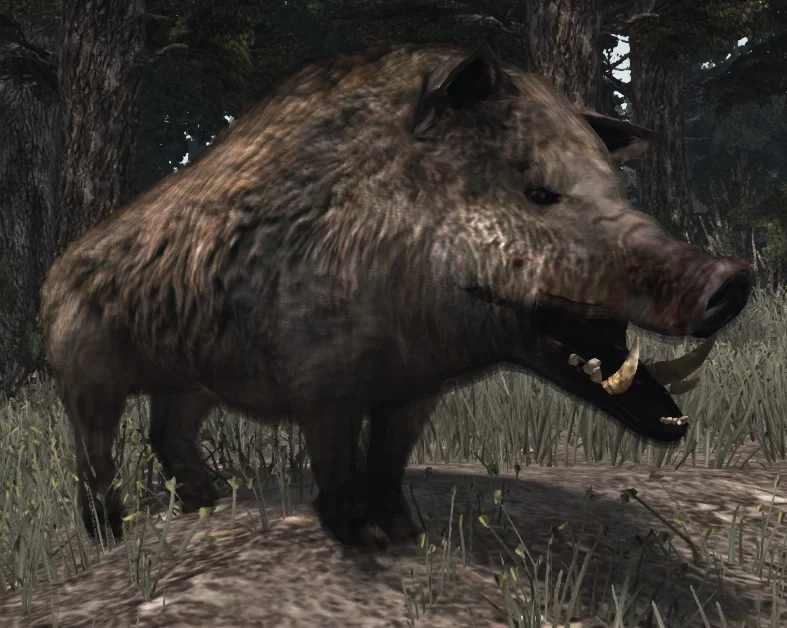 Gordo the Boar