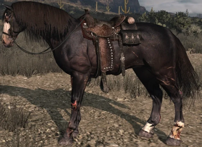 Dark Horse