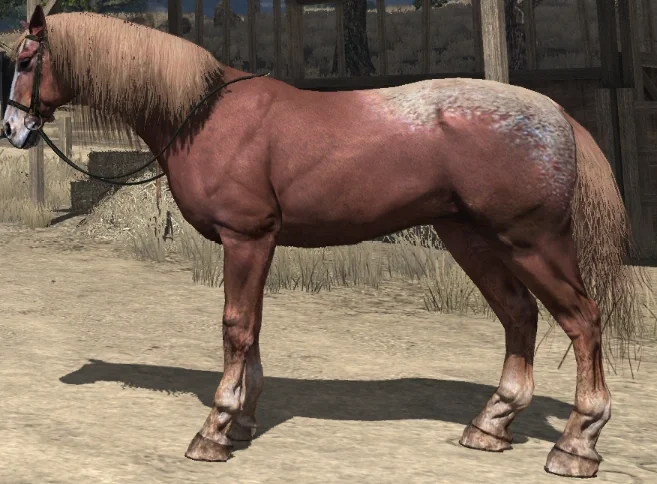 Painted Quarter Horse