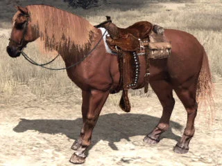 Quarter Horse