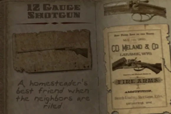 12 Gauge Shotgun